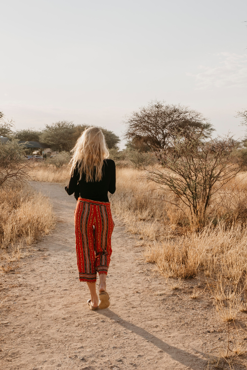 Safari Bilder